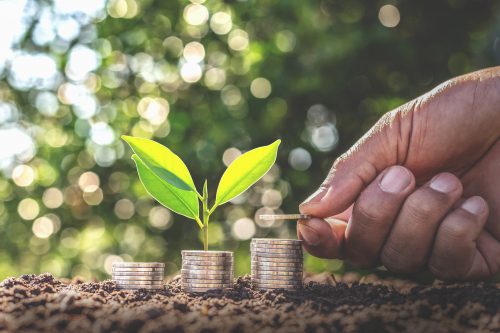 Hand giving a coin to a tree growing from pile In coin Money. Financial accounting, Investment Concept.